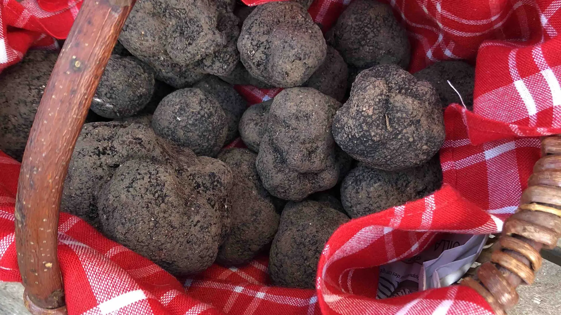 Truffes Noires de Montcuq