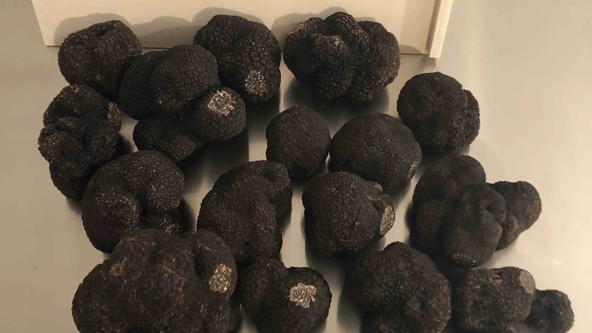 Truffes Noires de Montcuq