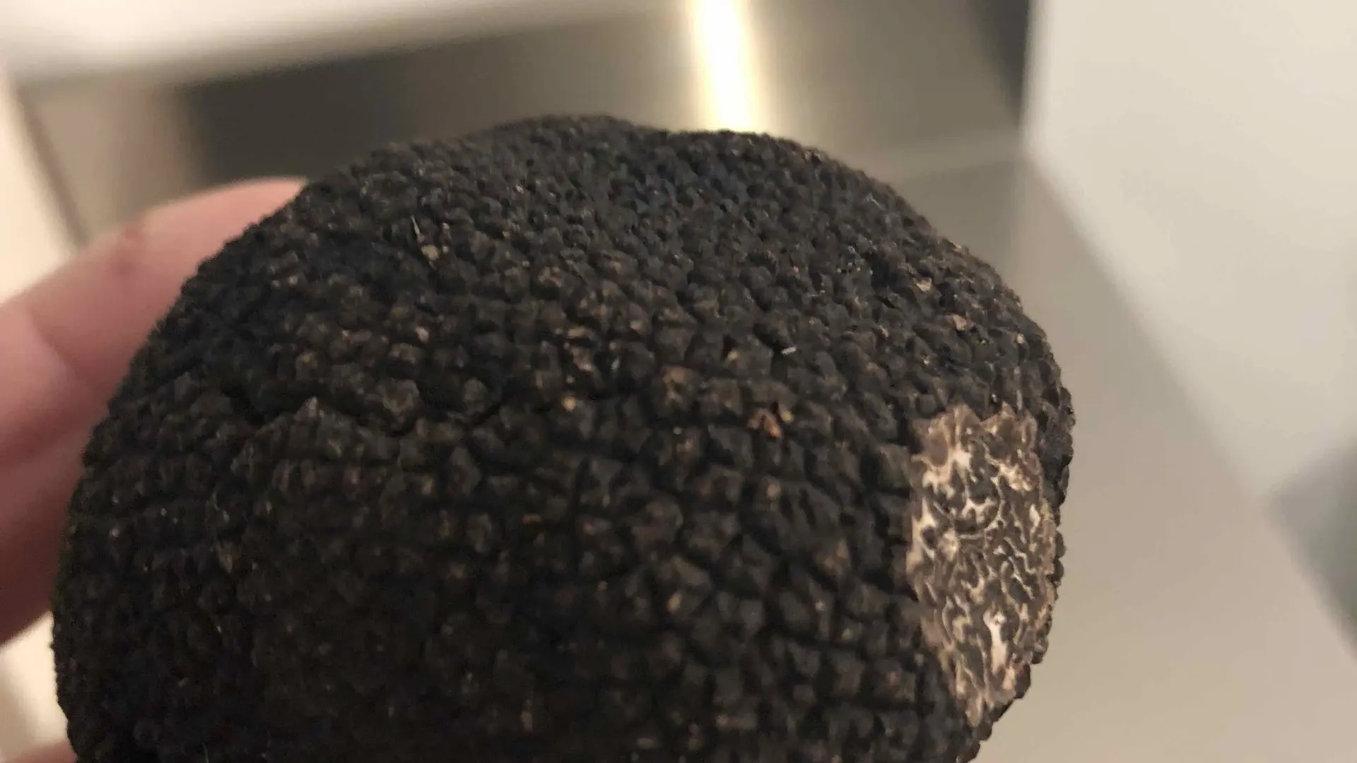 Truffes Noires de Montcuq