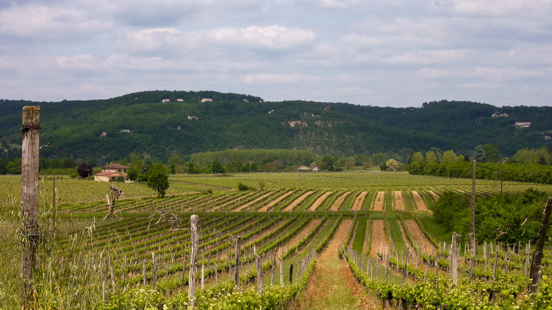 03Labrande -  Entre vignes et vallée© Lot Tourisme - C. Sanchez