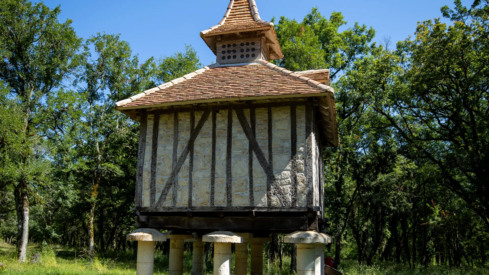 Pigeonnier dans le parc