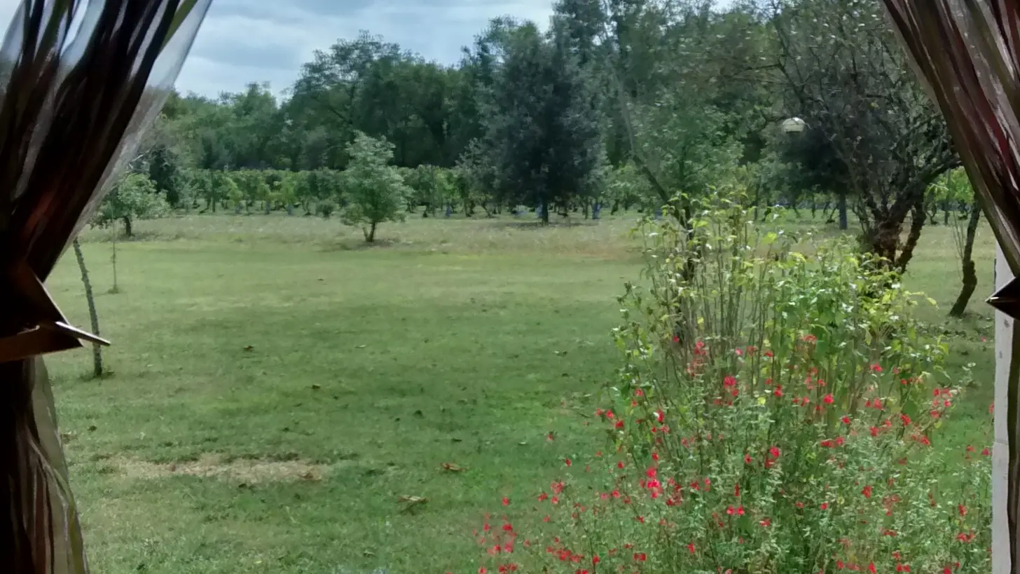 Vue sur le jardin