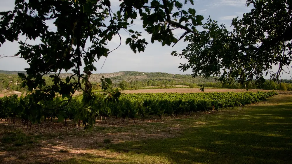 domaine du souleillan