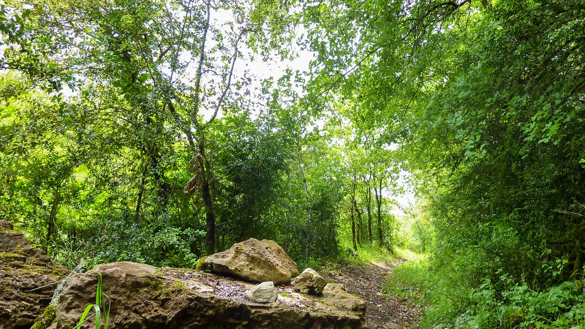 05Velle - passage en sous bois © Lot Tourisme - C. Sanchez