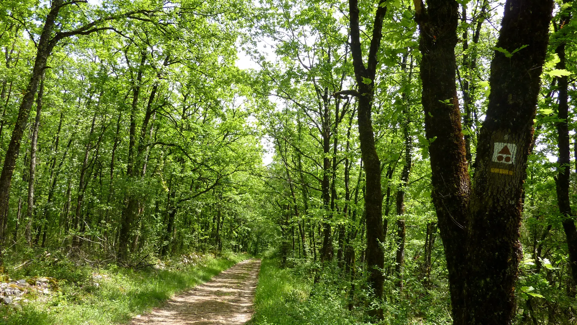 08Bois de Beauregard  © Lot Tourisme - C. Sanchez