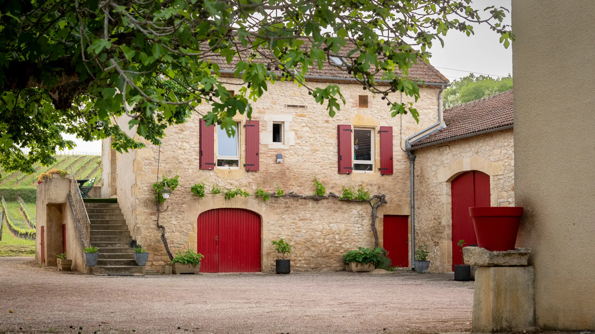 Le domaine