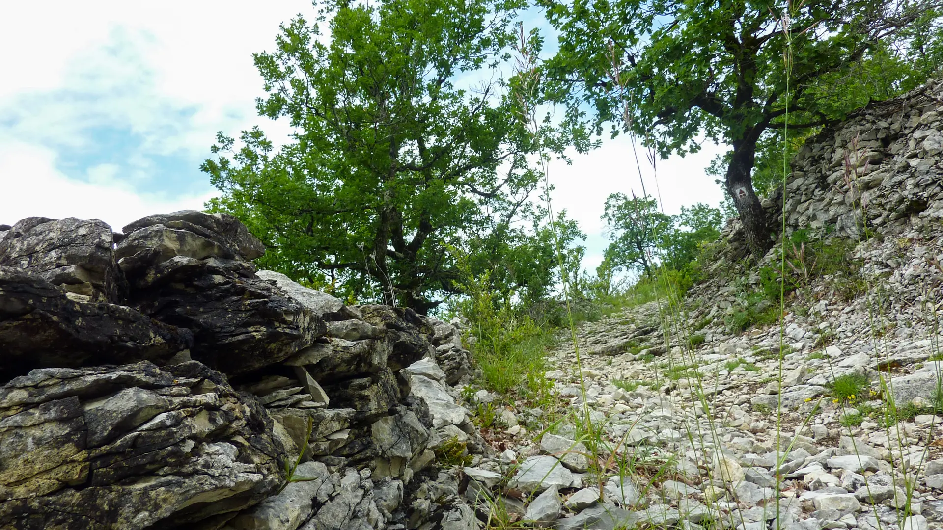 13St Martin de Cours - Montée sur le Pech © Lot Tourisme - C. Sanchez