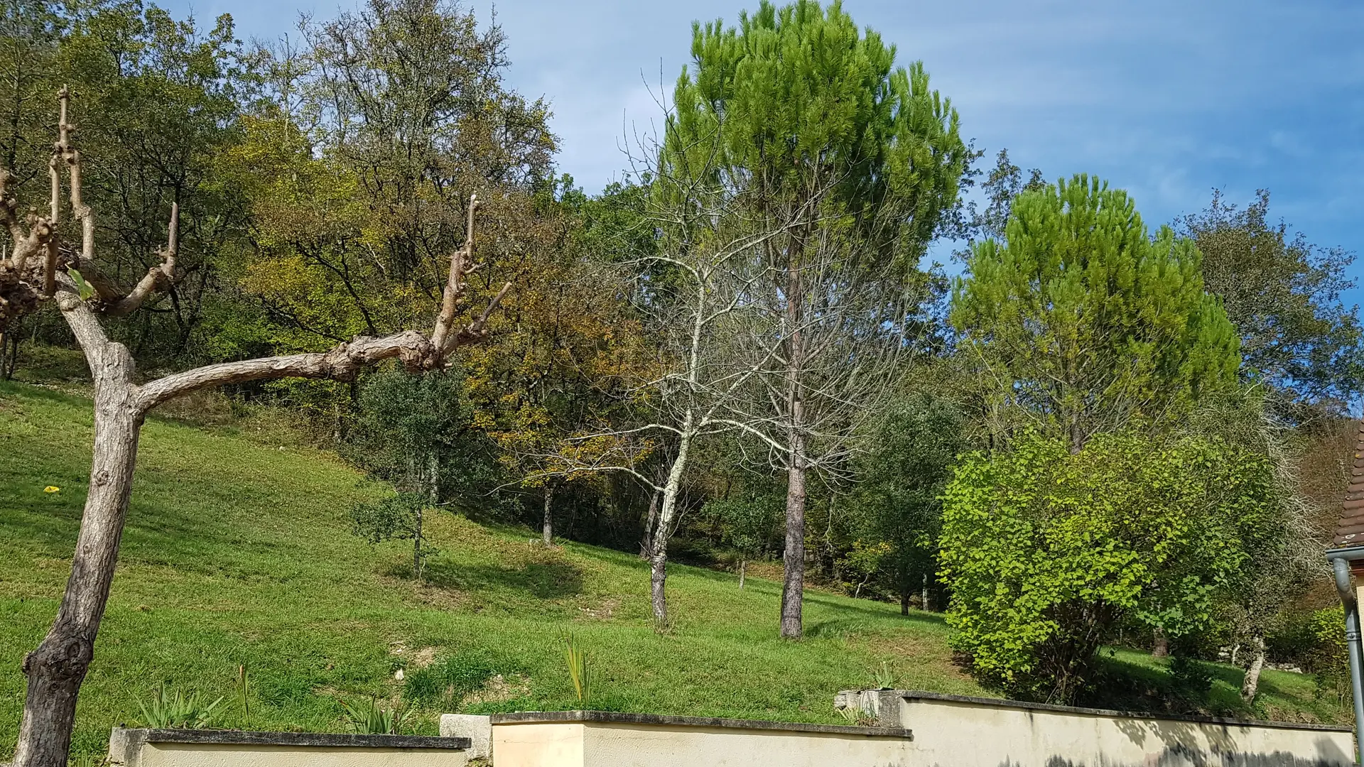 Le jardin, la colline, le bois