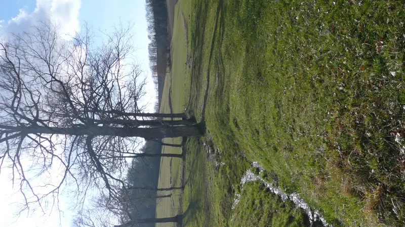 Saint Matré : Ruisseau en Vallée