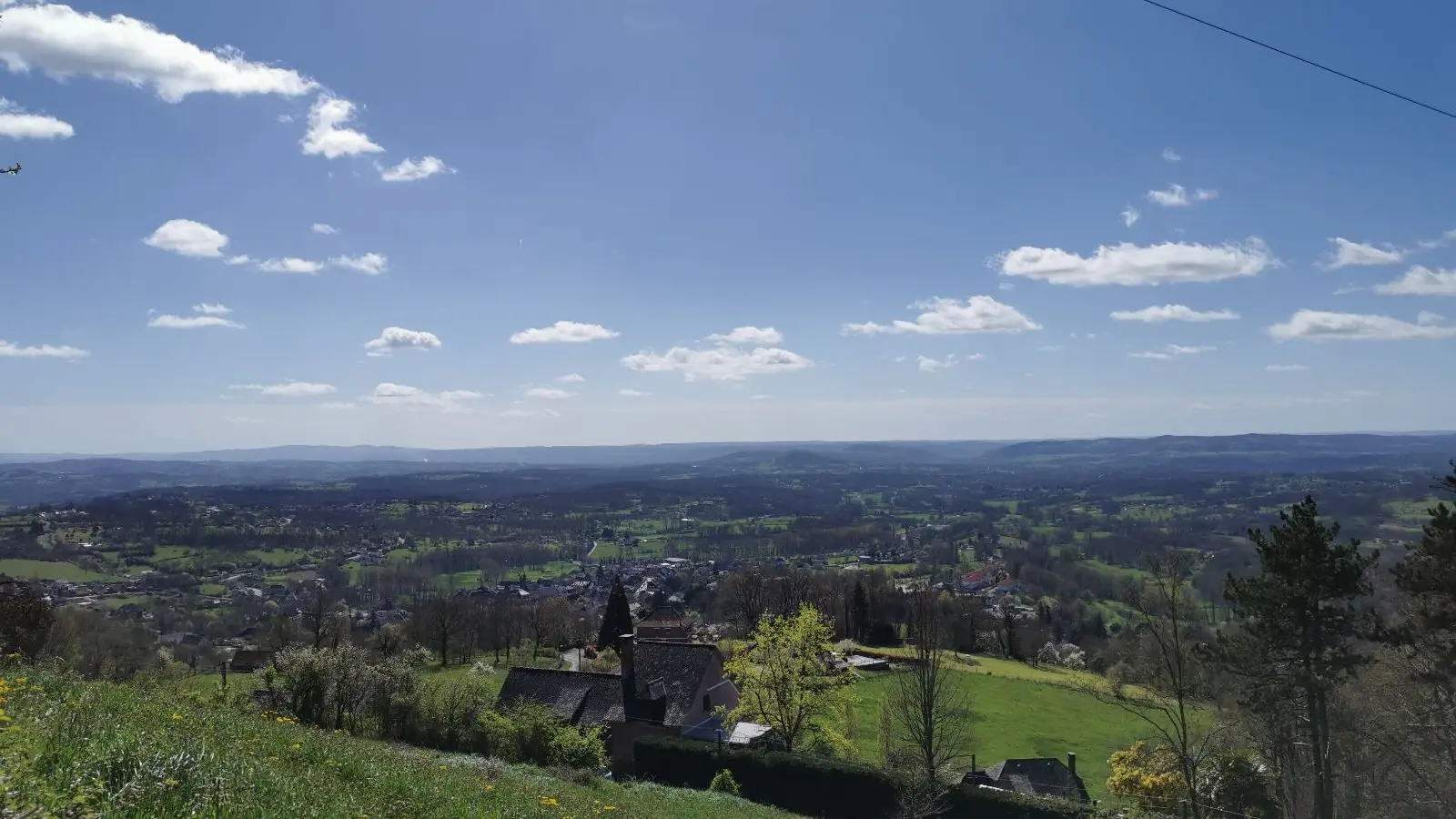 vue