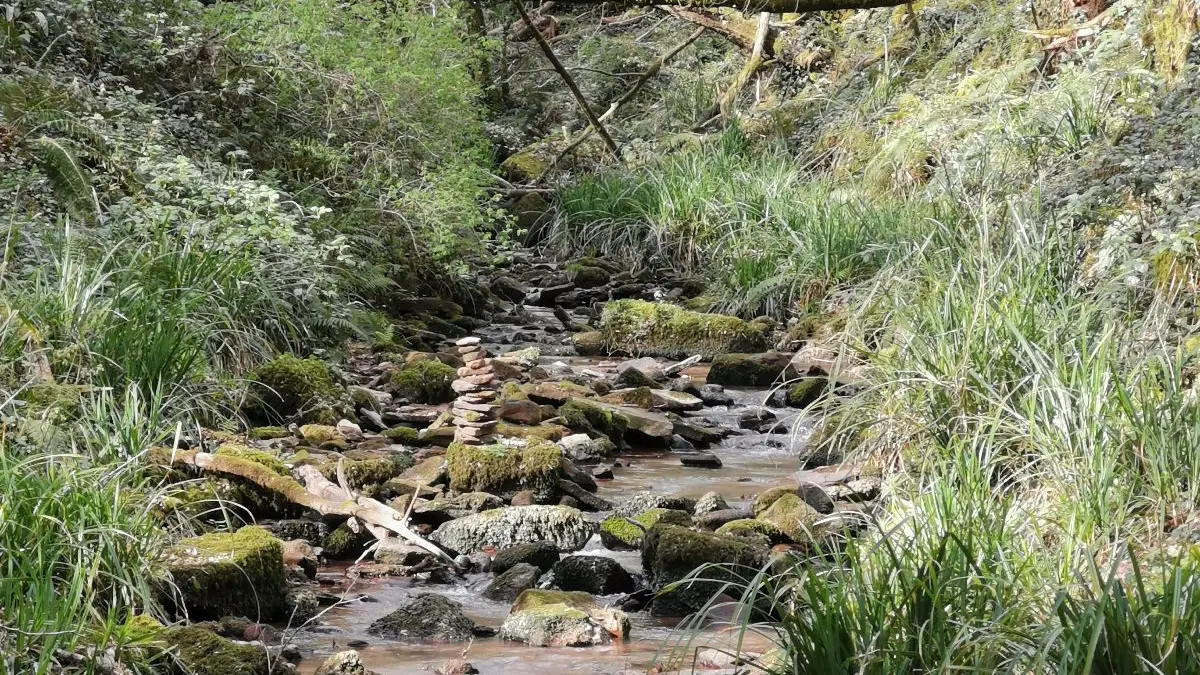 ruisseau