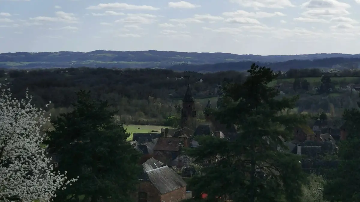 vue