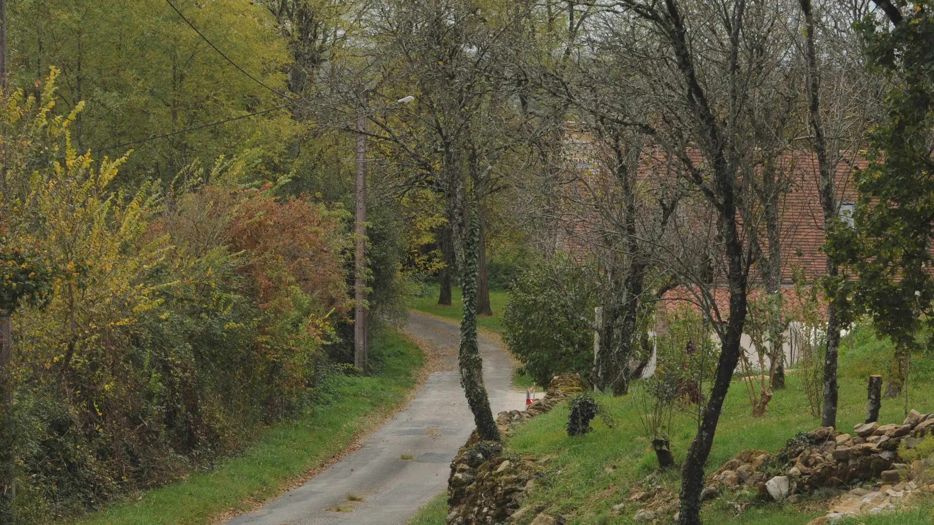 Bord de petite route