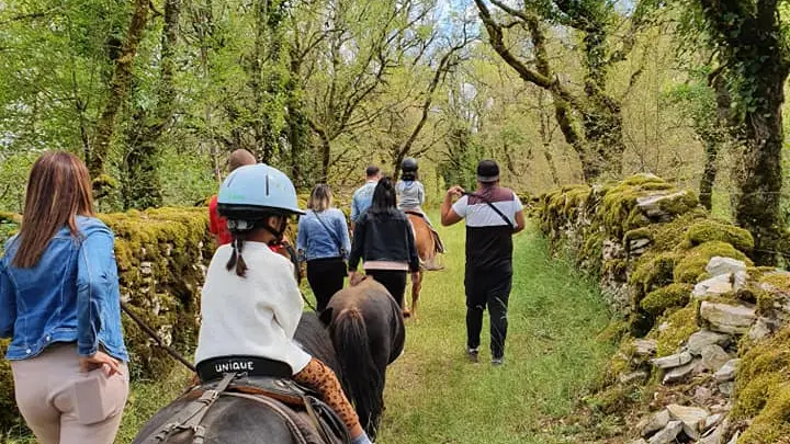 Balade à poneys