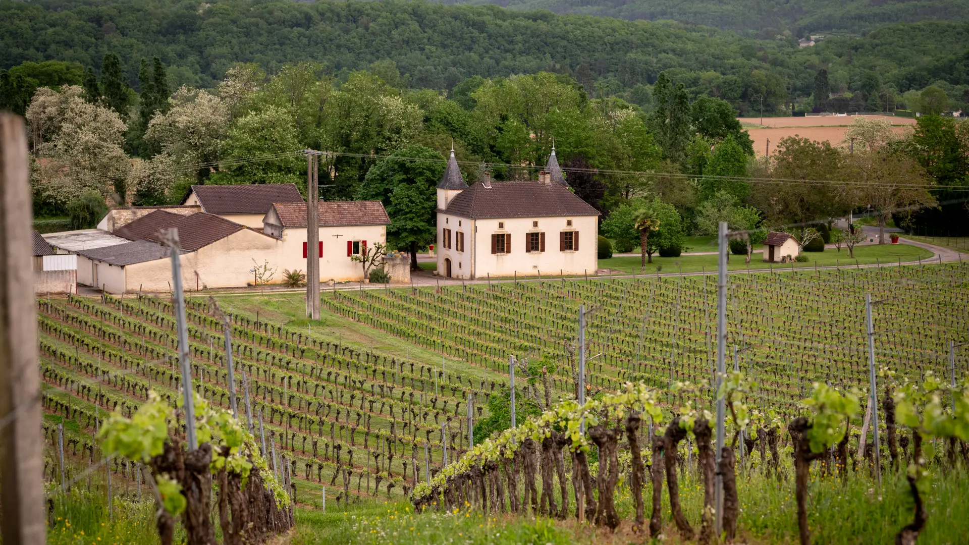 Vue du Domaine
