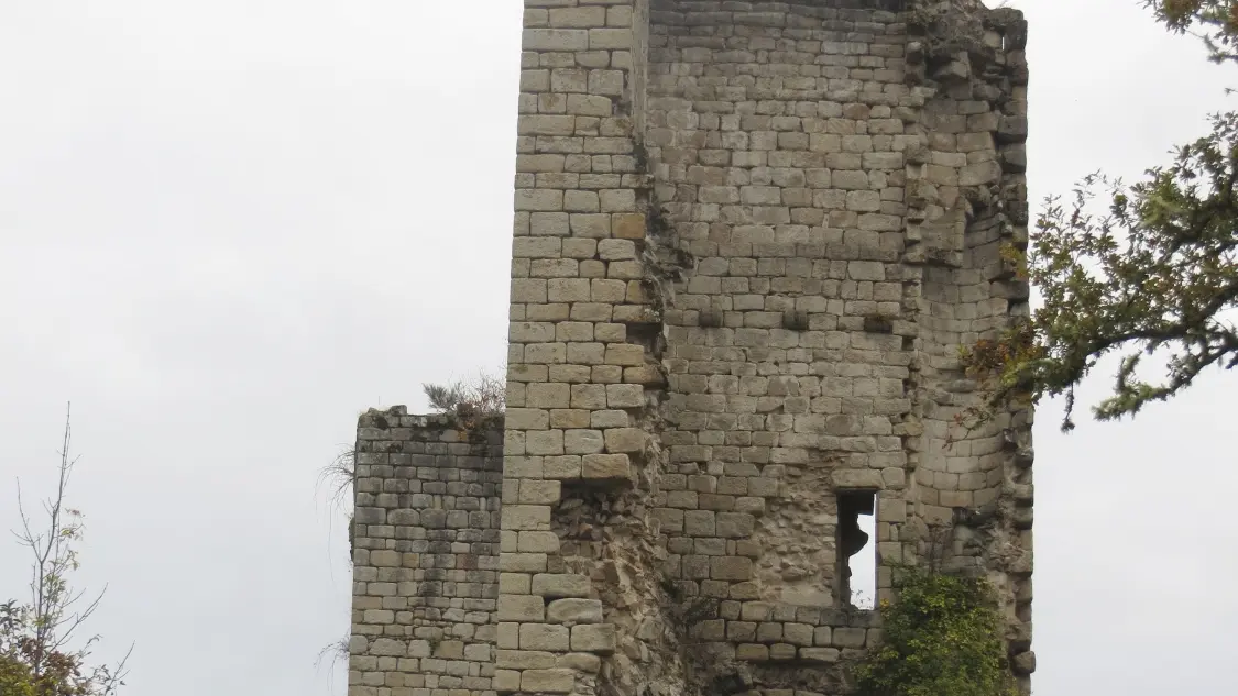 12 GOULLES - Les tours de Carbonnières (4)