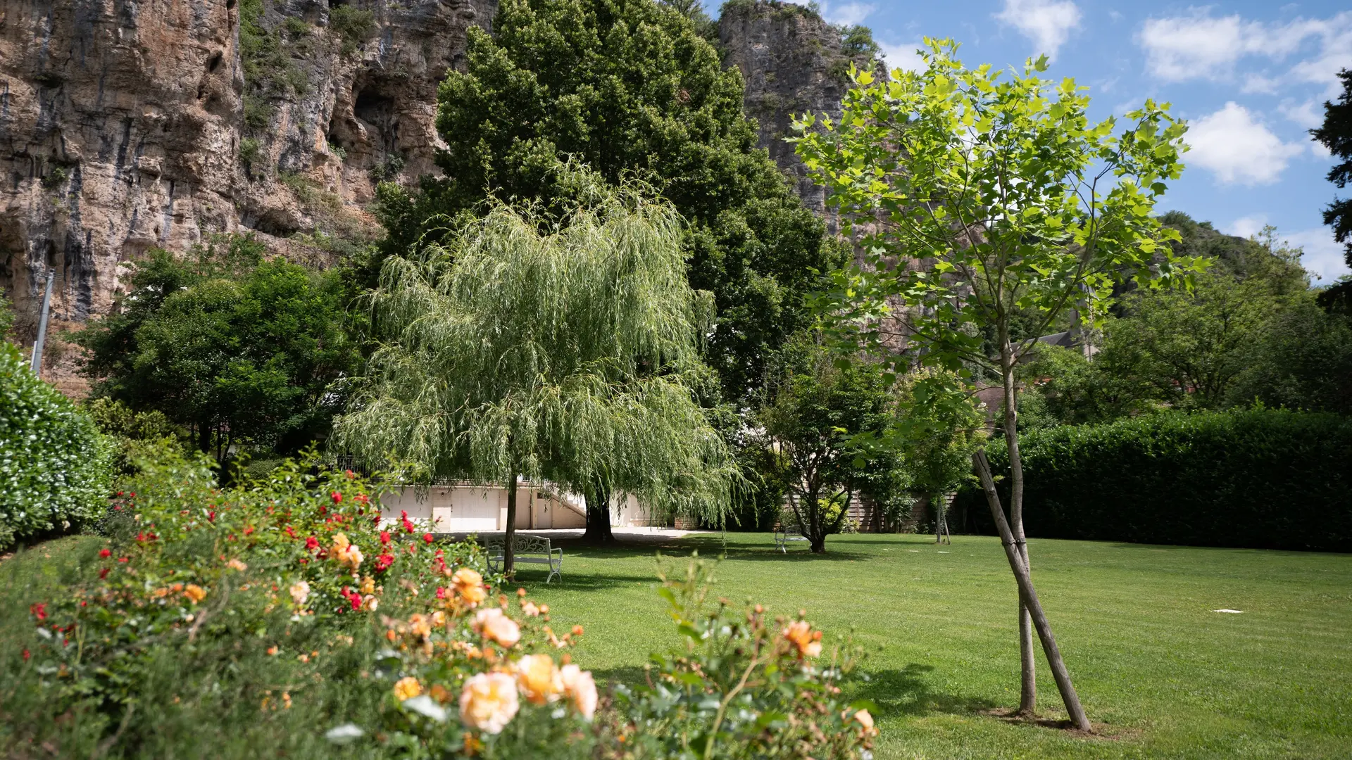 restaurant avec vue sur jardin