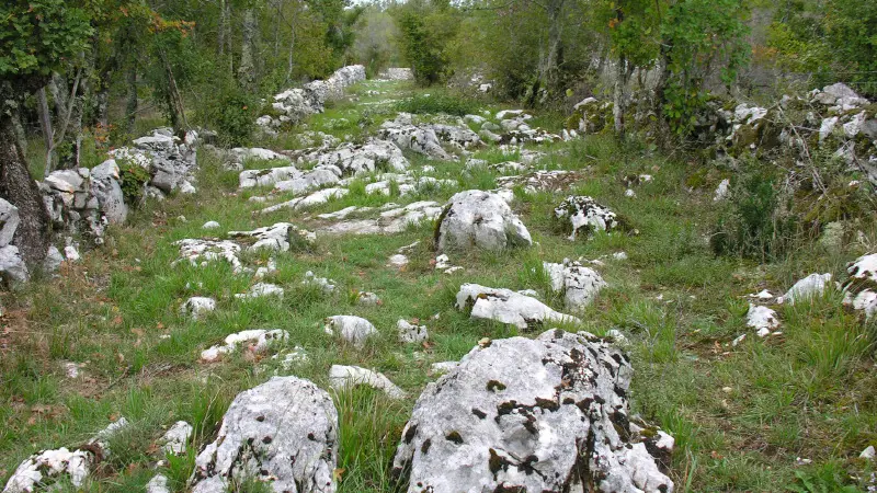 Lapiz au Coeur du Parc Naturel Régional des Causses du Quercy