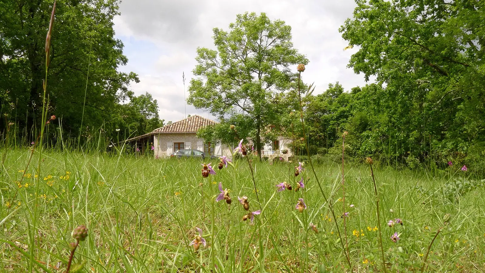 orchide grange de cezac