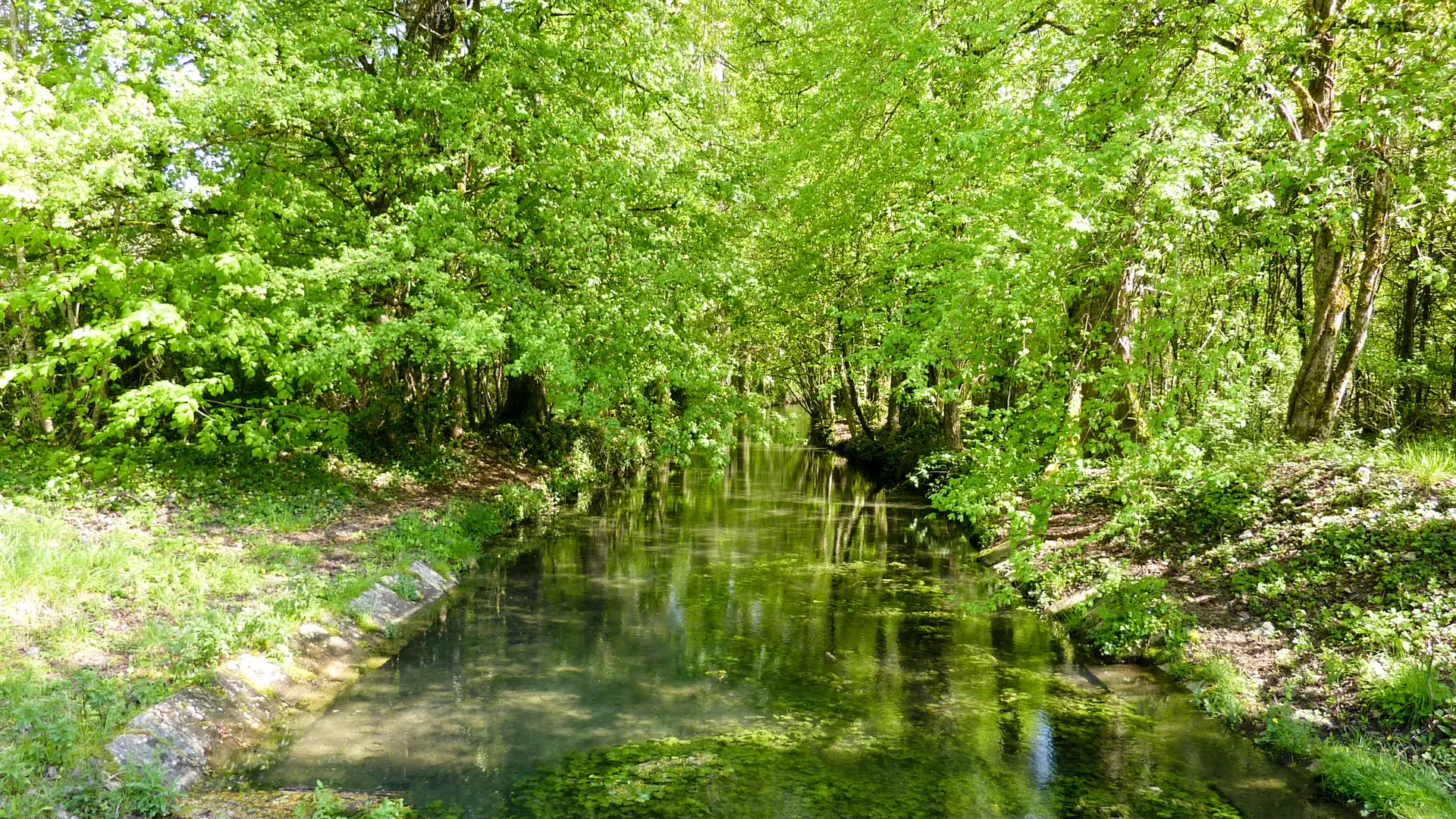 14Auricoste - ruisseau affluent de la Masse © Lot Tourisme - C. Sanchez