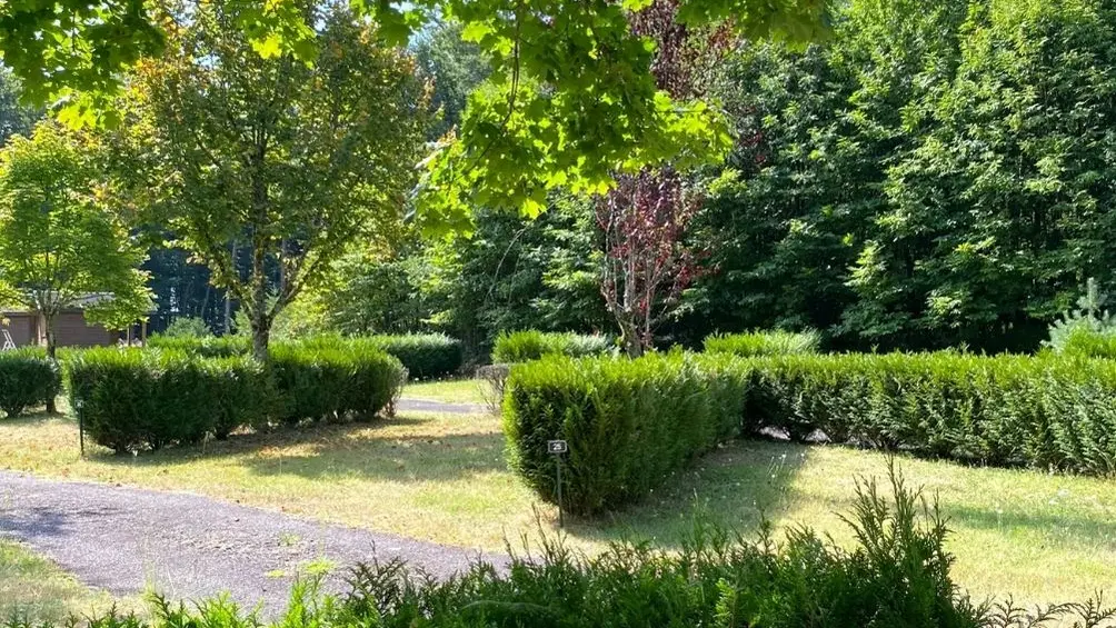 Camping Le Vert-Bois à Saint-Martin-la-Méanne, emplacements nus