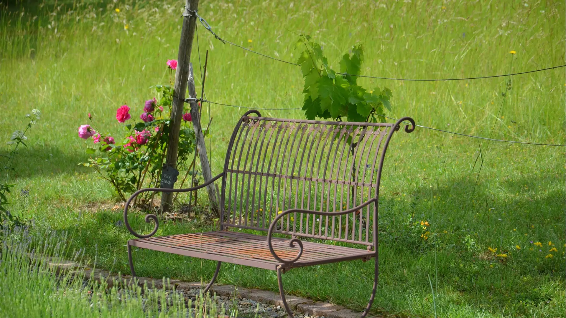 Gîte Durocher-St Denis les Martel-jardin4