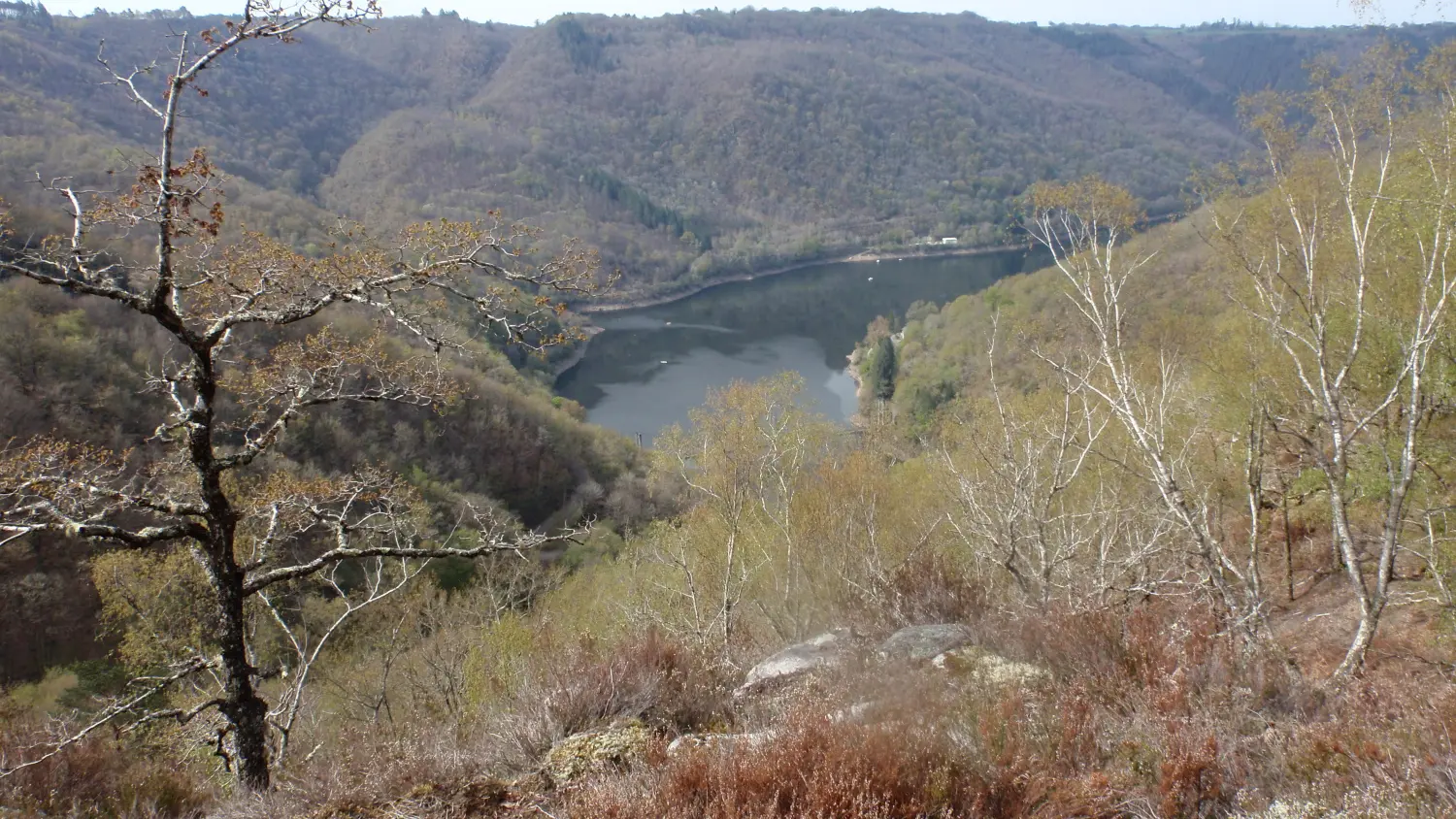 17 AURIAC - De Selves au puy Murat (1)