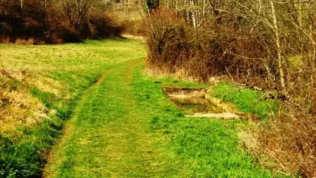 Chemin lavoirs Collongeois