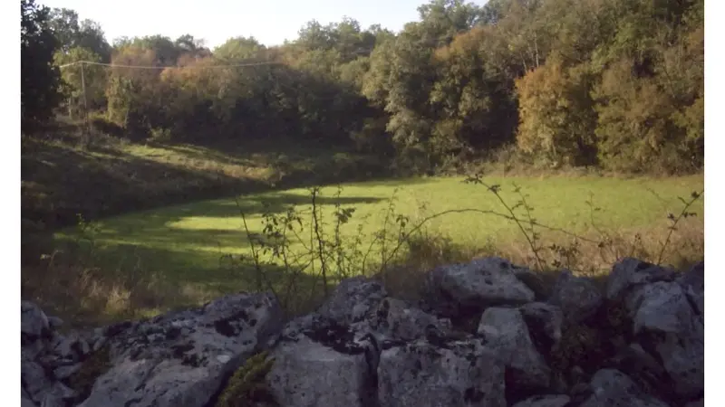 Circuit un paysage façonné par la brebis - espédaillac