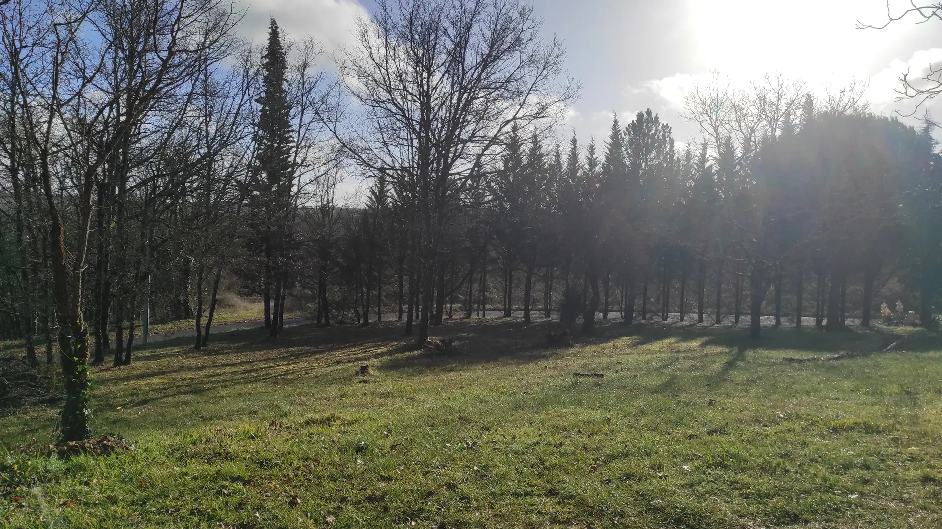 Votre jardin