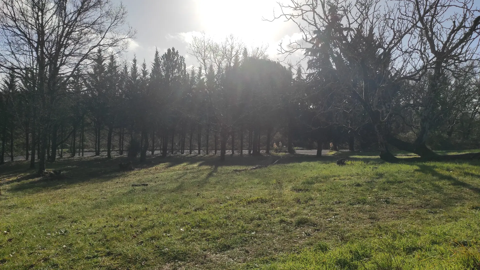 Votre jardin