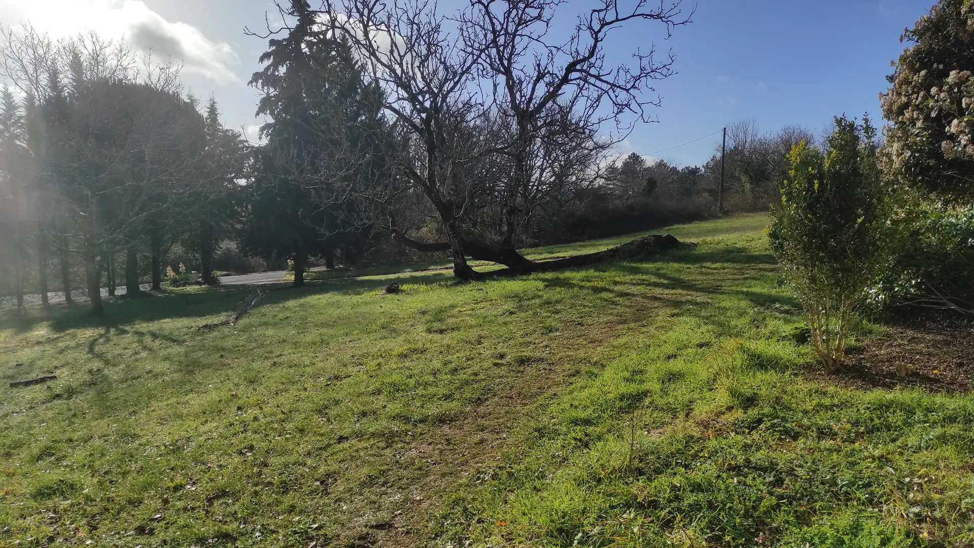 Votre jardin