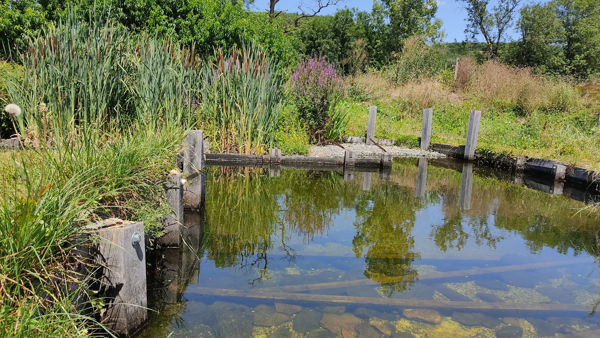 Etang naturel