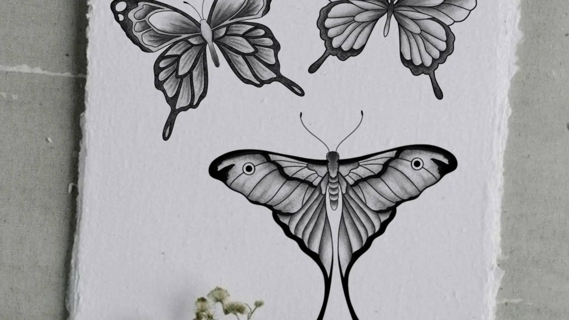 Illustration sans titre