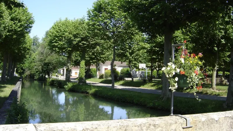 Catus : Vieux Pont Vue sur le Vert