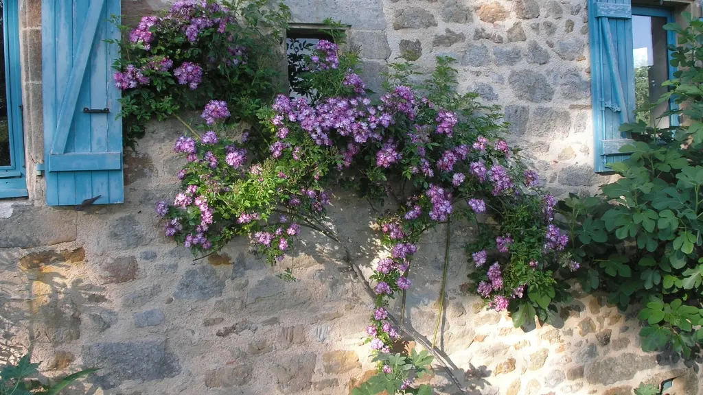 190201LeMetge_Figeac_RosierAuPrintemps