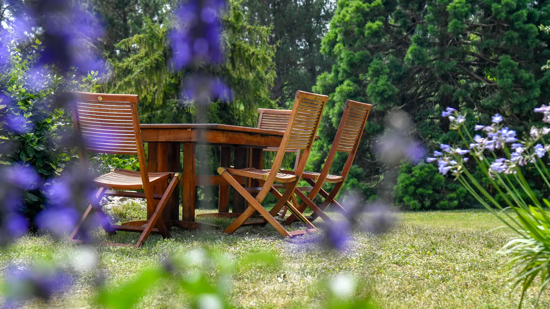 Domaine les Gaillardoux - Quelque part dans le parc