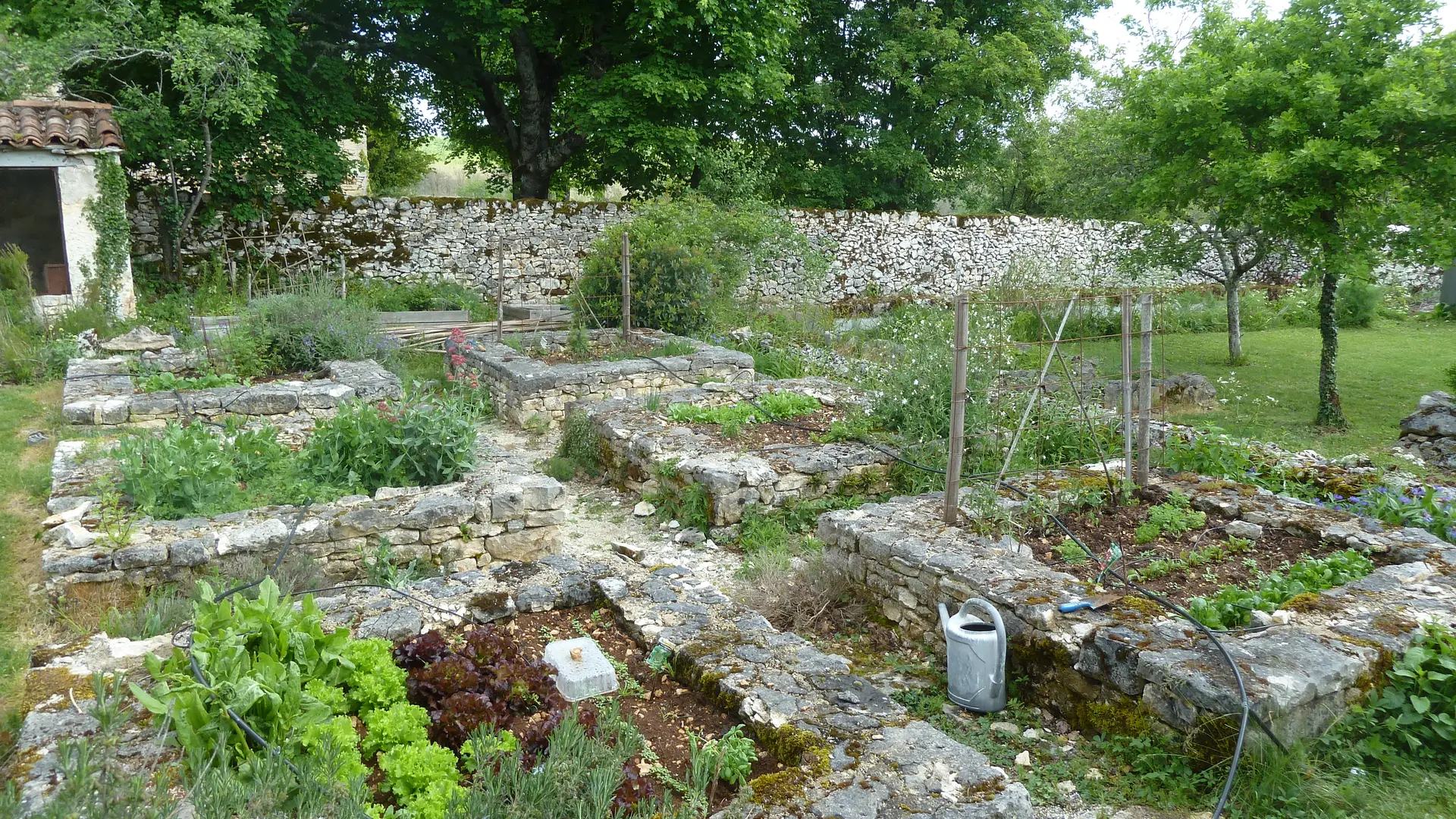 jardin potager en carrés