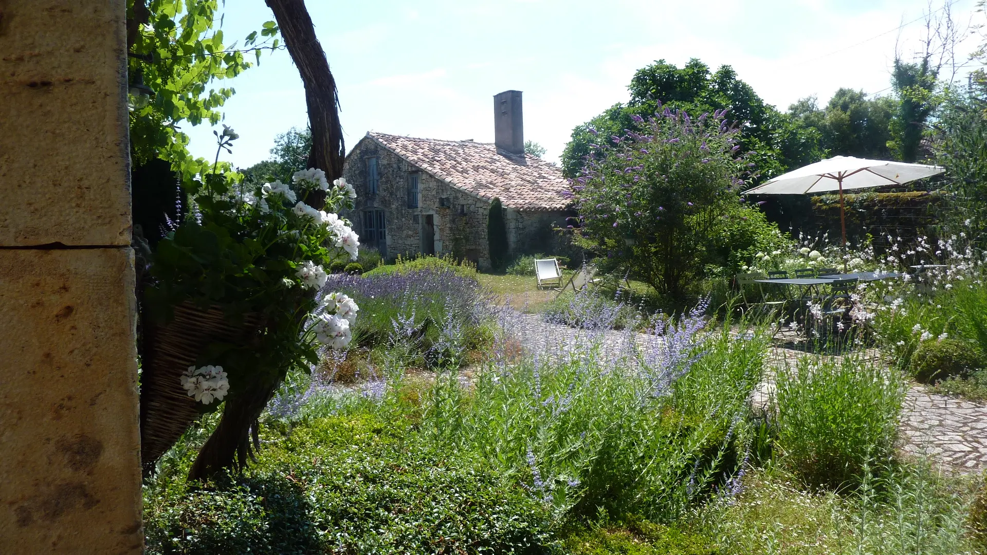 fleurs d'été dans le jardin d'agrément