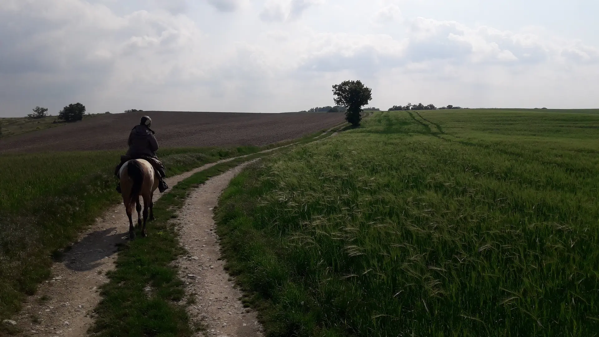 Chemin du Quercy Blanc