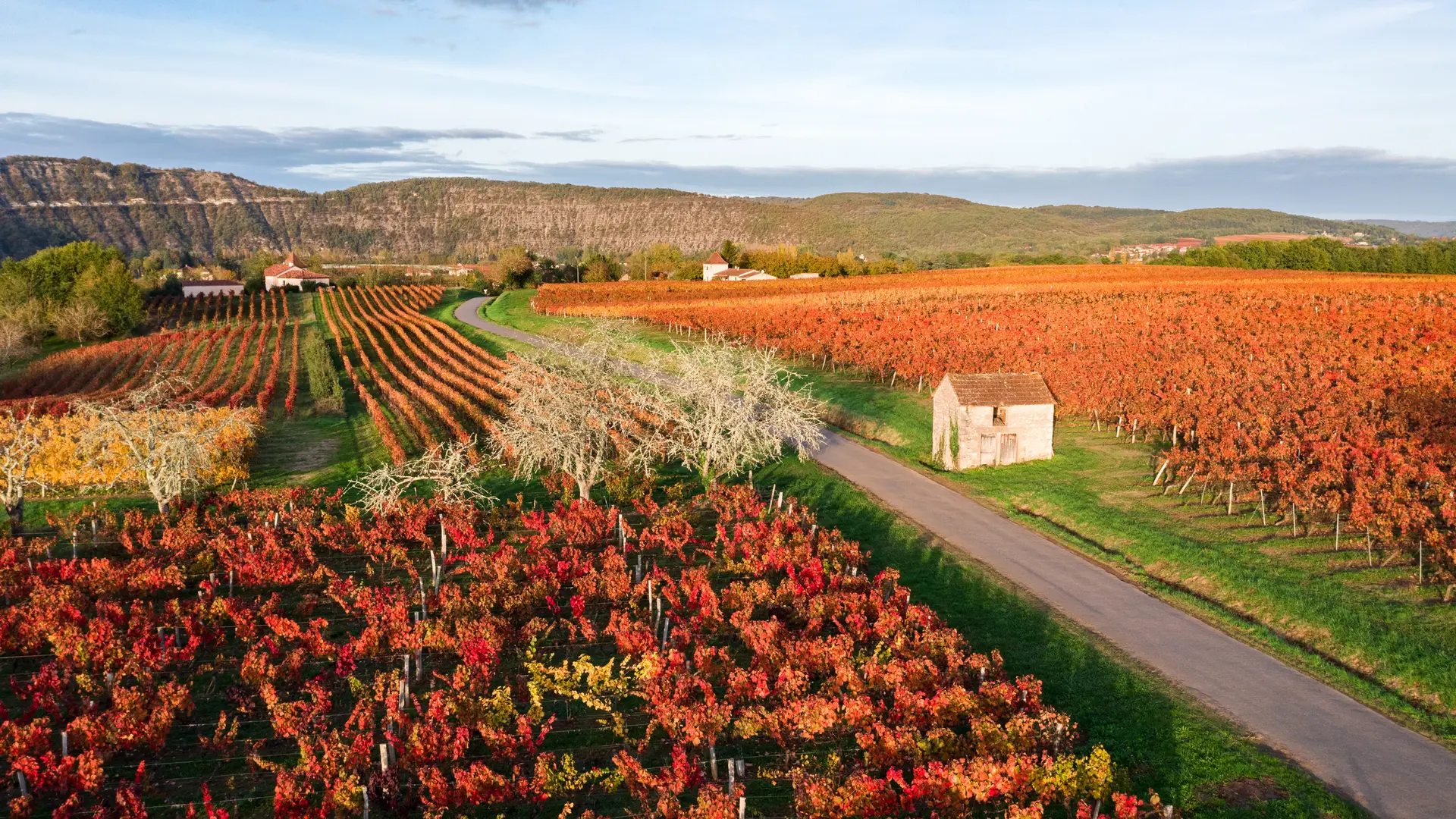 Vignoble de Cahors en automne à Parnac