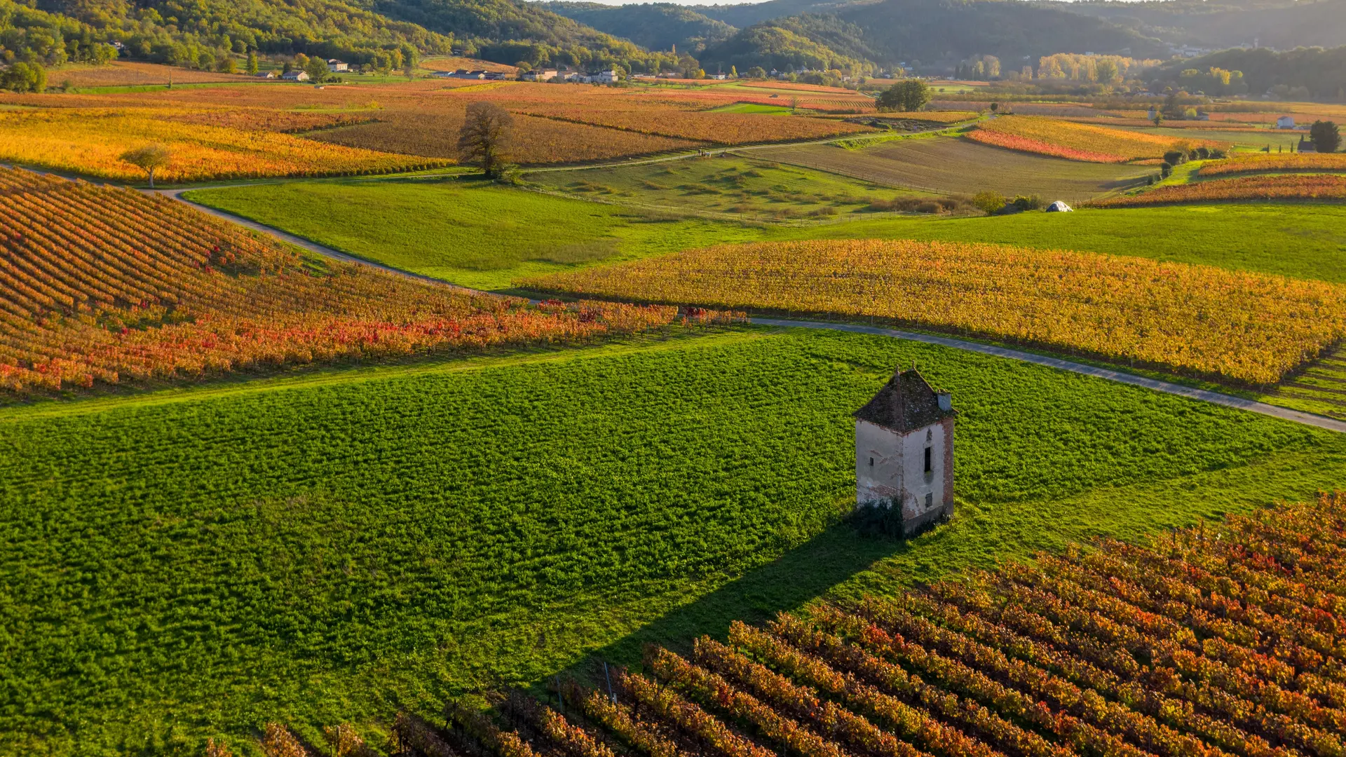 Vignoble et maison de vigne à Albas en automne