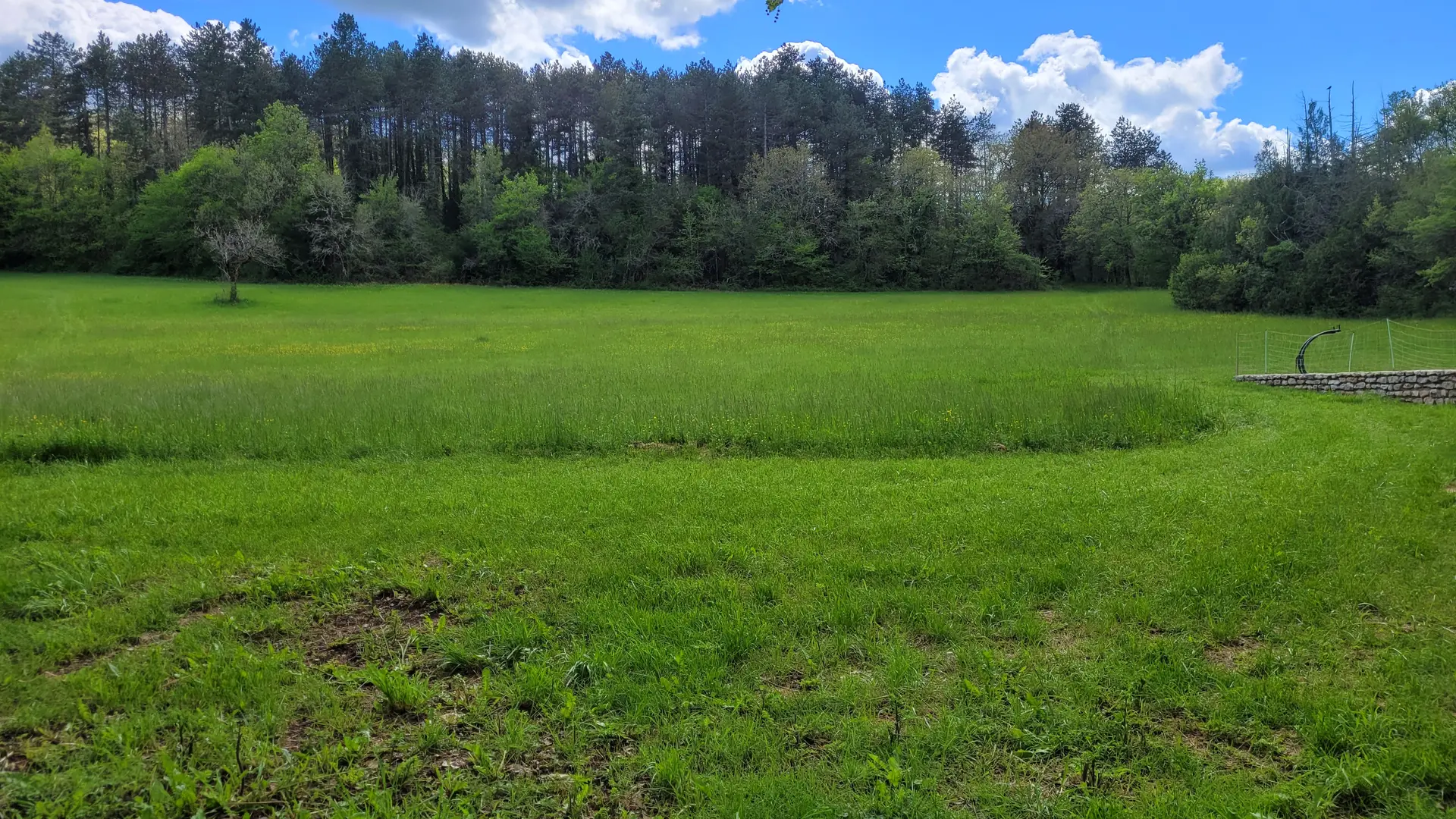 Prairie et bois