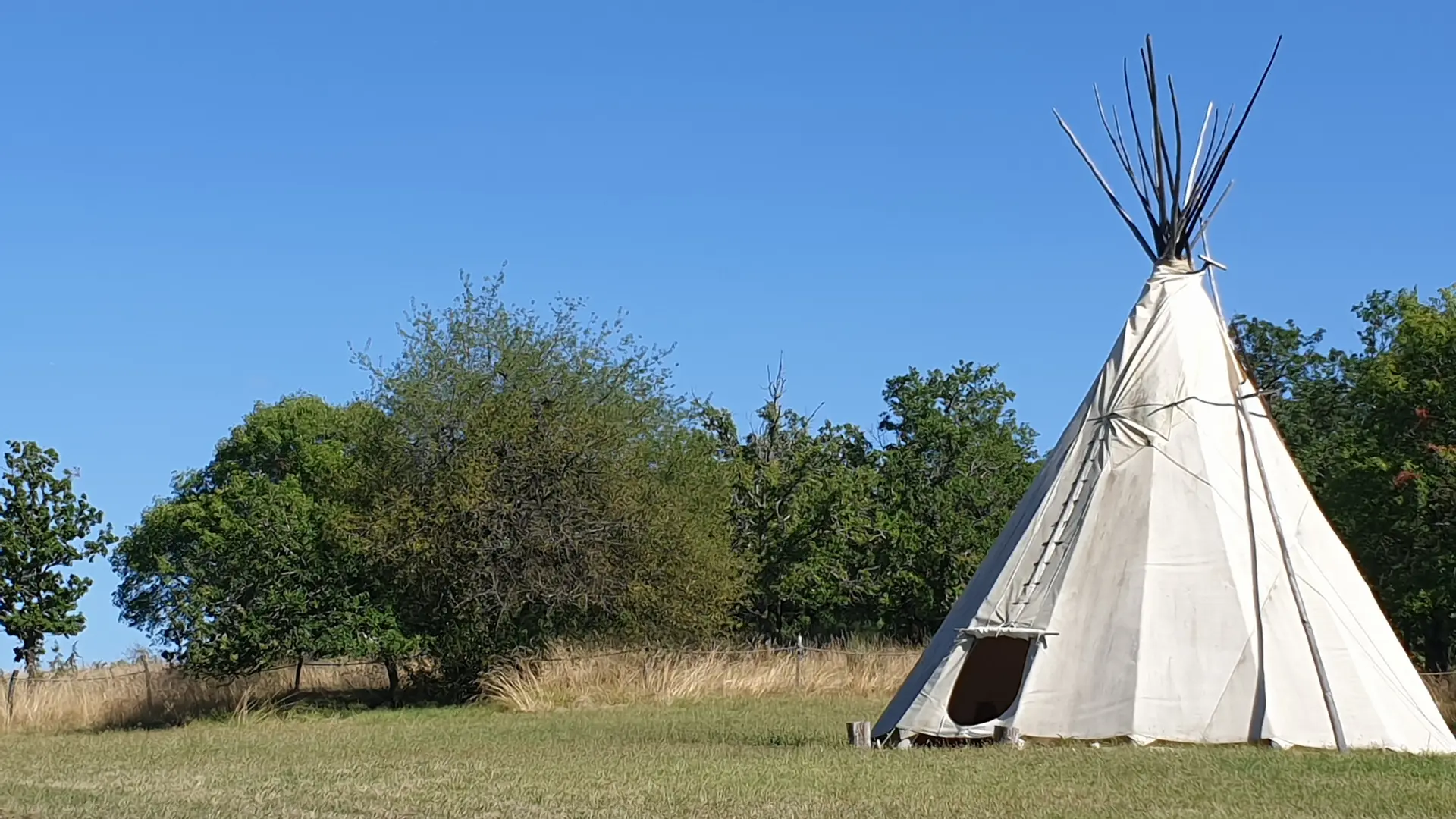 Tipi