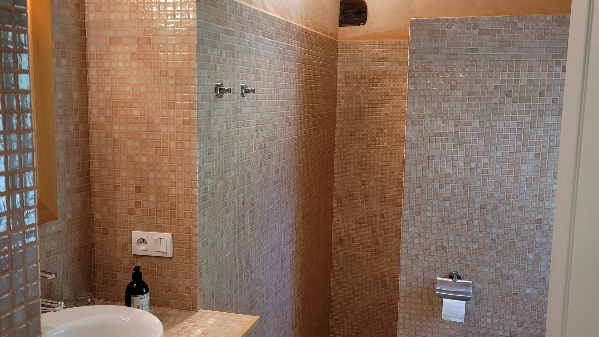 Salle de bain spacieuse avec douche à l'italienne