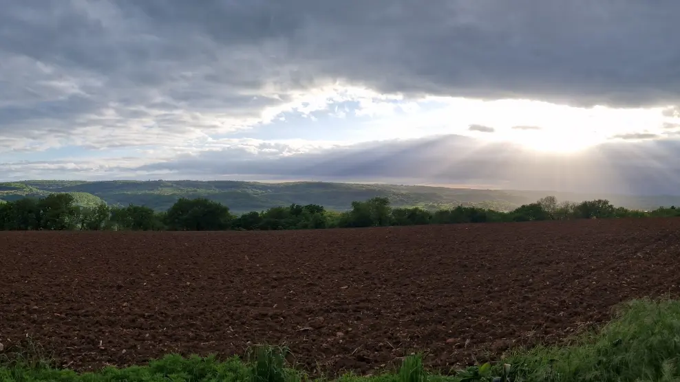 Vue sur Loubressac en arrivant au Vieux Séchoir