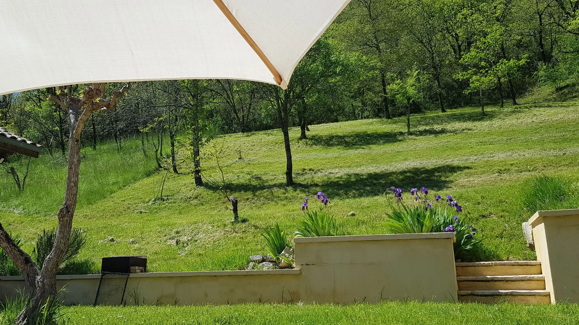 Le jardin, la colline