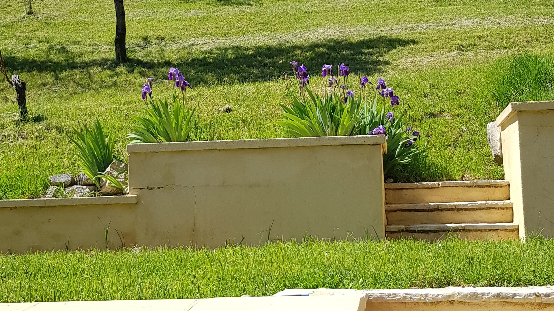 depuis la terrasse