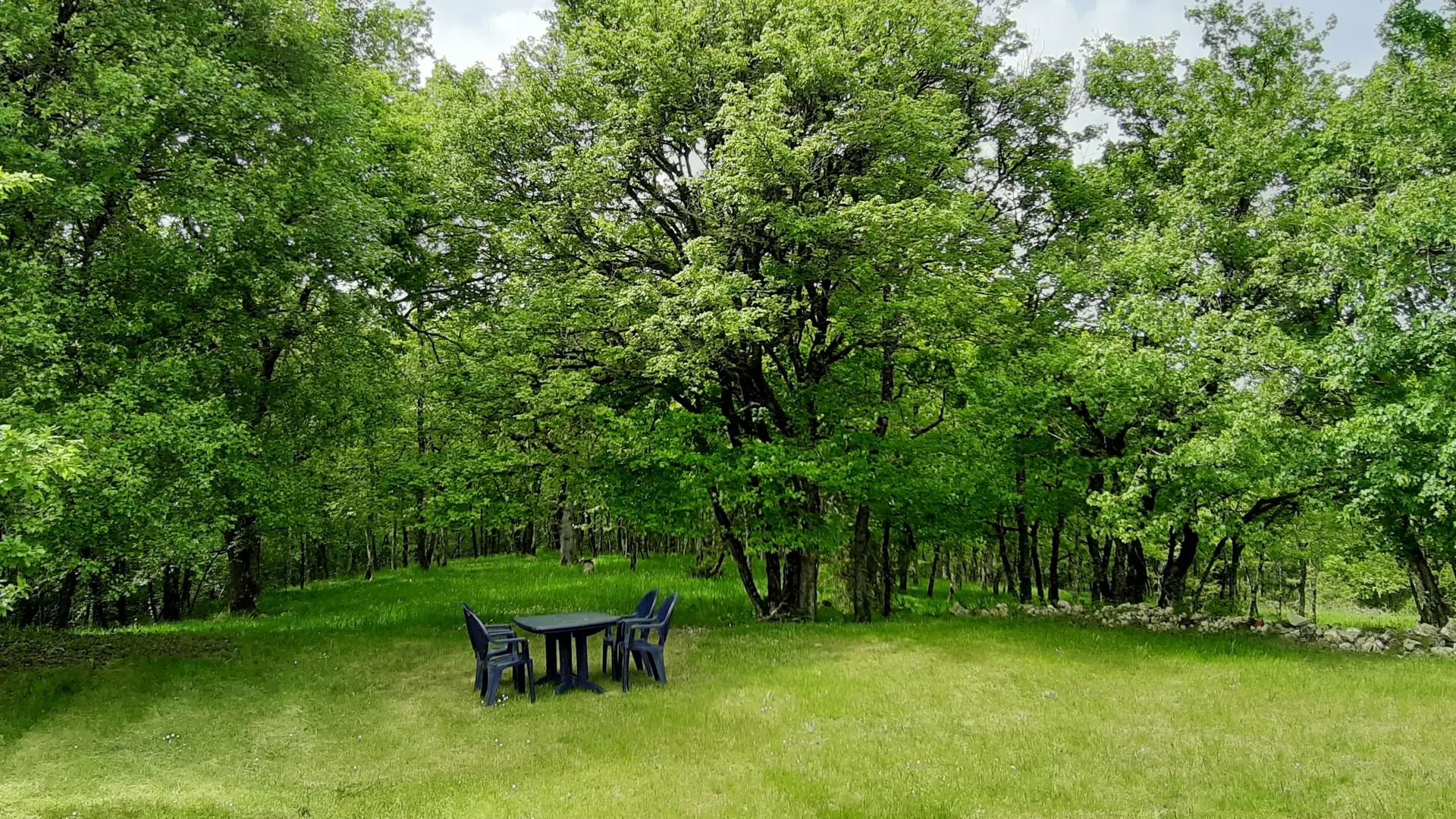 Déjeuner dans la nature