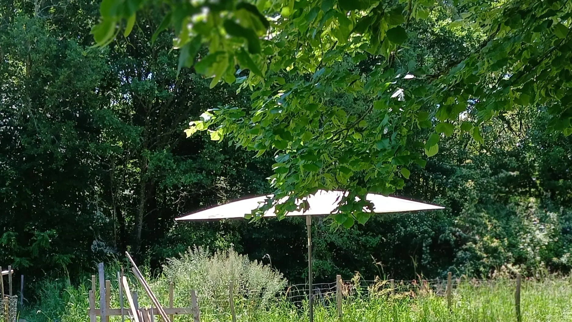 Coin repas, barbecue au jardin